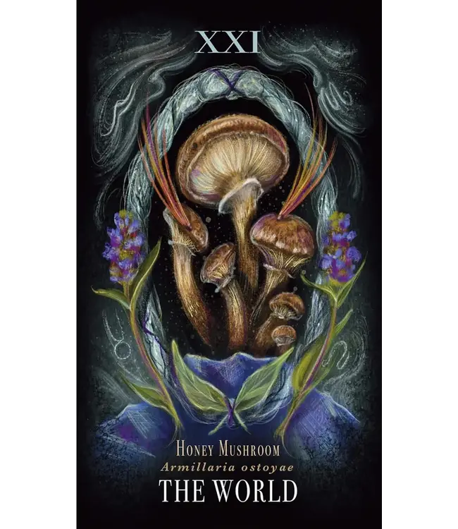 Adams Media Sara Richard - Midnight Magic Tarot Cards