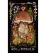 Adams Media Sara Richard - Midnight Magic Tarot Cards