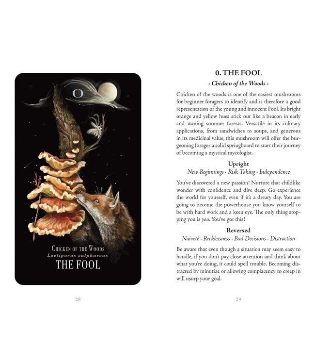 Adams Media Sara Richard - Midnight Magic Tarot Cards