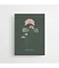 Anna Cosma Anna Cosma - Take Your Time - Postcard