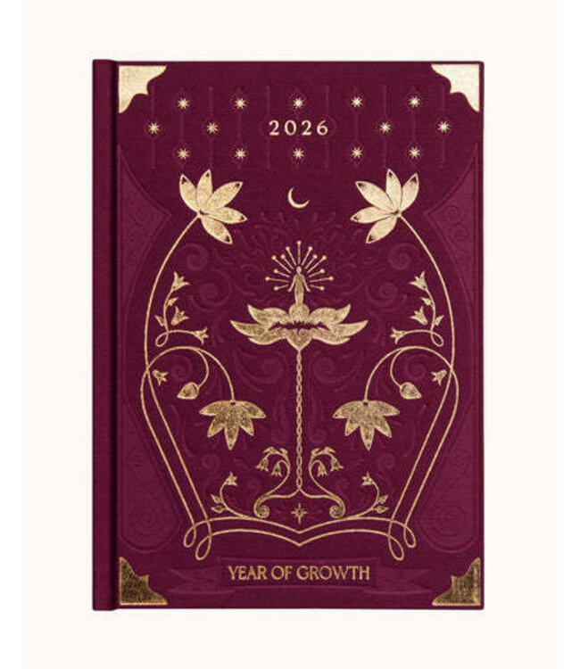 Dreamy Moons Dreamy Moons - 2026 Year of Growth