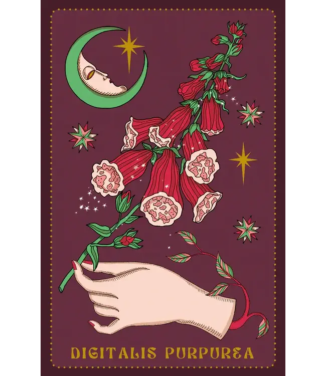 Lo Scarabeo Elisa Seitzinger - Herbarium Oracle Cards