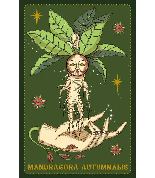 Lo Scarabeo Elisa Seitzinger - Herbarium Oracle Cards