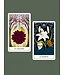 Librero Nina Pace y Diana McMahon Collins - Tarot Floral