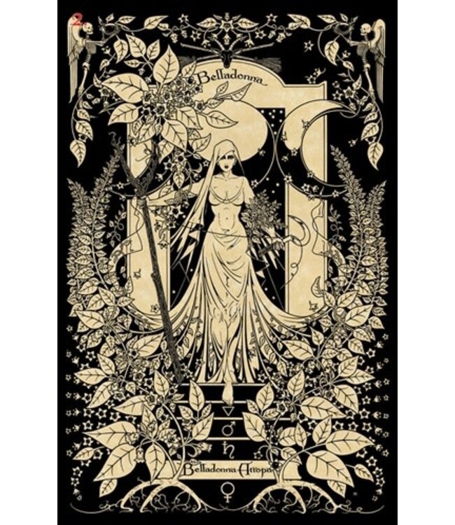 Lo Scarabeo Maxine Miller - Magickal Botanical Oracle