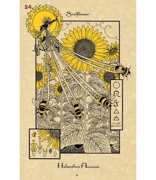 Lo Scarabeo Maxine Miller - Magickal Botanical Oracle