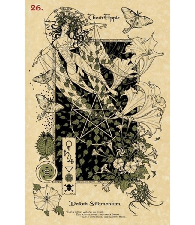 Lo Scarabeo Maxine Miller - Magickal Botanical Oracle