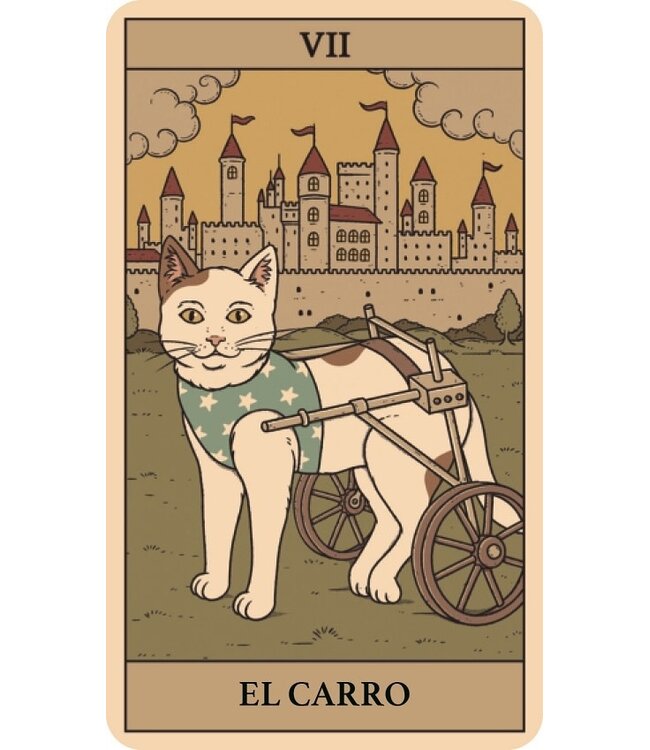 Librero Thiago Corrêa y Catherine Davidson - El Tarot de los Gatos - Spanish