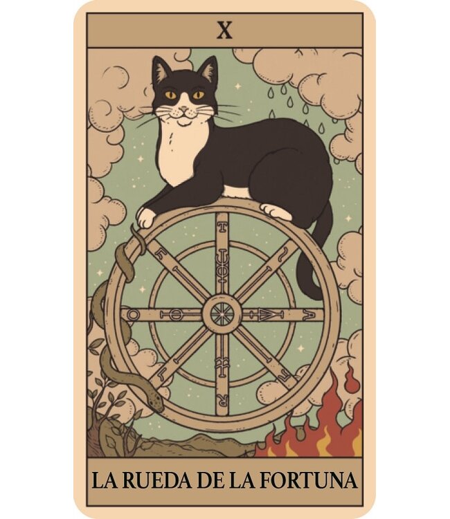 Librero Thiago Corrêa y Catherine Davidson - El Tarot de los Gatos - Spanish
