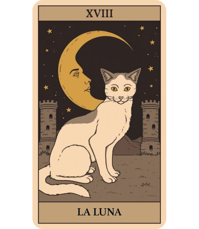 Librero Thiago Corrêa y Catherine Davidson - El Tarot de los Gatos - Spanish