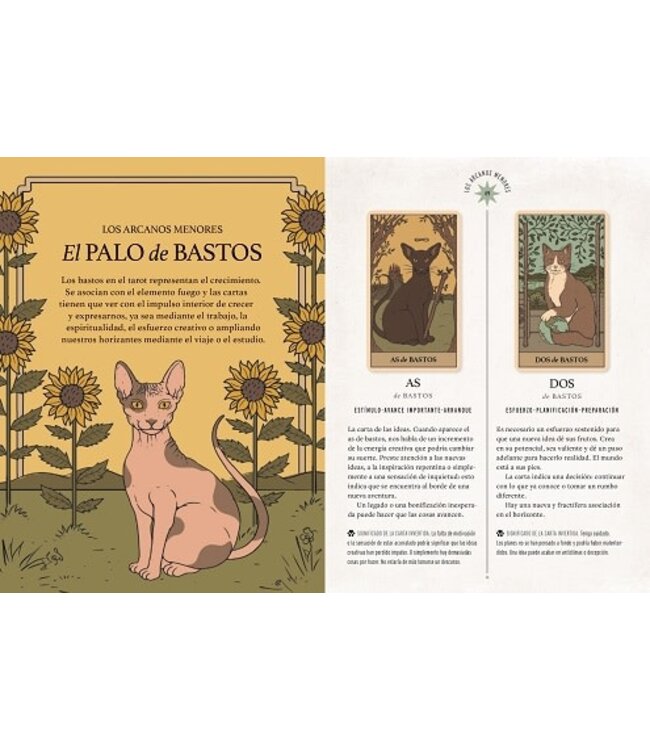 Librero Thiago Corrêa y Catherine Davidson - El Tarot de los Gatos - Spanish