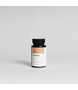 Boscum Boscum - Reishi Capsules 60u
