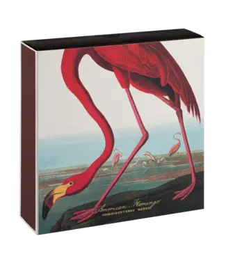 Archivist Gallery Archivist Gallery - American Flamingo Matches