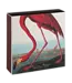 Archivist Gallery Archivist Gallery - American Flamingo Matches