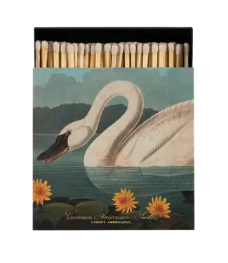 Archivist Gallery Archivist Gallery - Common American Swan Matches