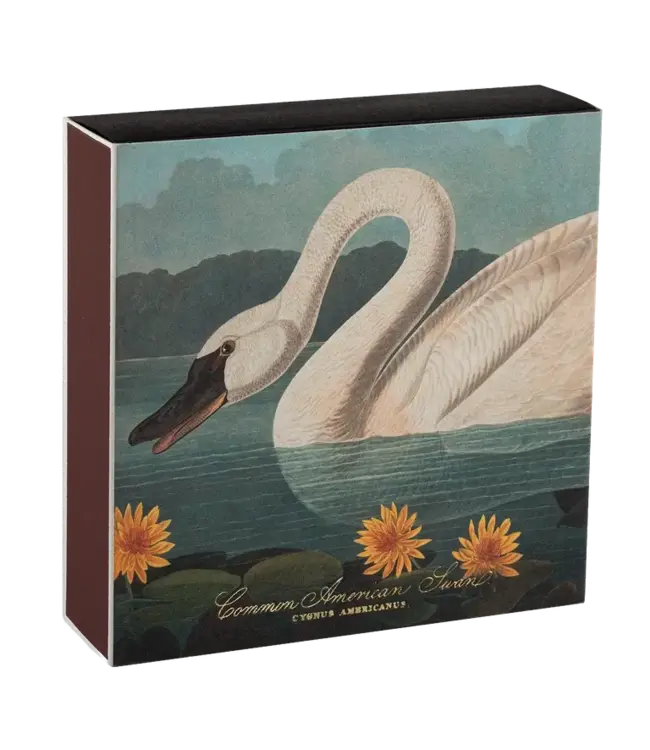 Archivist Gallery Archivist Gallery - Common American Swan Matches