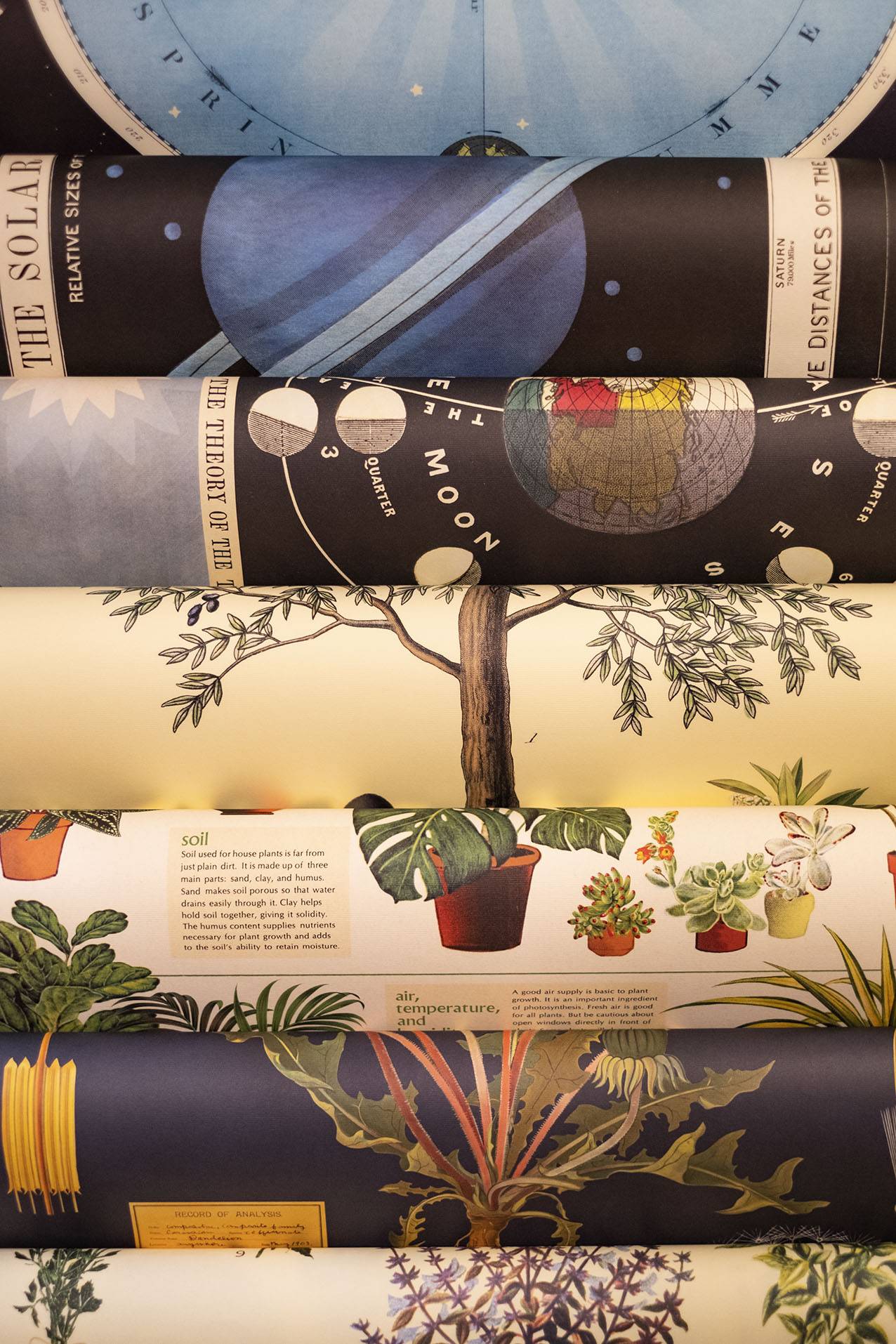 Cavallini Papers & Co