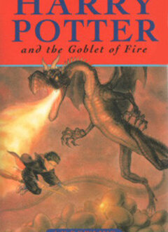 Reed Elsevier Group  The Goblet of Fire