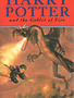 Reed Elsevier Group  The Goblet of Fire