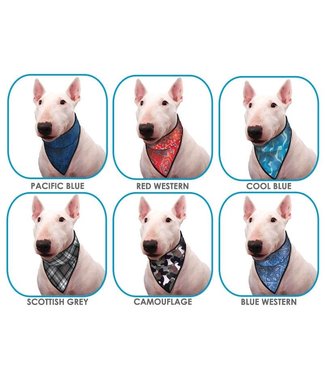 Doxtasy/Animal Gear Animal Gear Aqua Coolkeeper Bandana