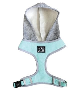 Big and Little Dogs Big and Little Dogs Hoody Harness Classic Teal ( X Small & Small )