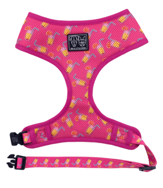 Big and Little Dogs Big & Little Dogs Classic Harness Pawty Punch