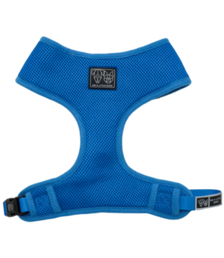 Big and Little Dogs Big and Little Dogs Classic Harness Cobalt Blue