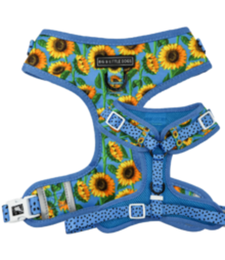 Big and Little Dogs Big and Little Dogs Adjustable Harness Hello Sunshine ( XLARGE)