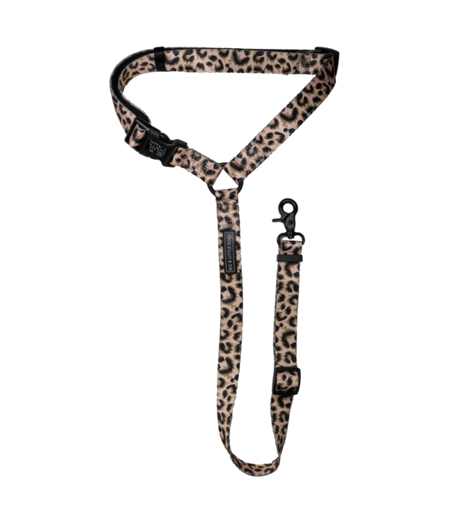 Big and Little Dogs Big and Little Dogs premium autogordel Luxurious Leopard