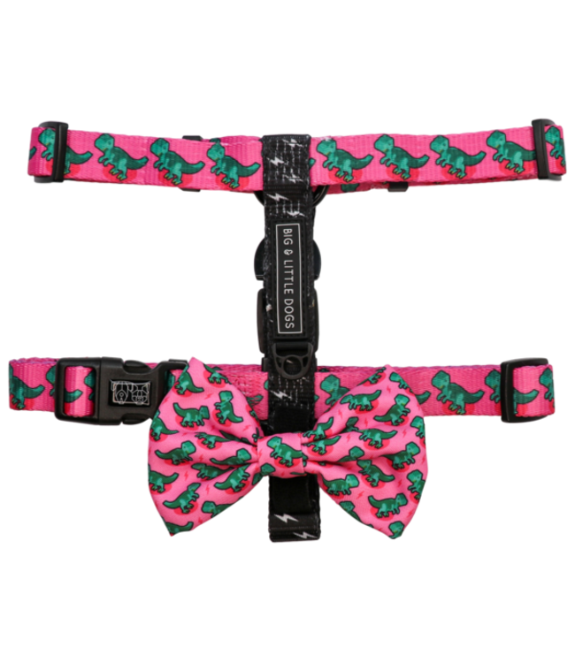 Big and Little Dogs Big and Little Dogs Strap Harness Princess-asaurus