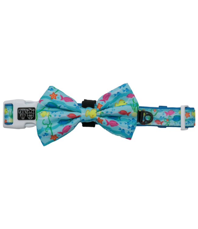 Big and Little Dogs Big and Little Dogs Collar & Bow-tie You're A Catch