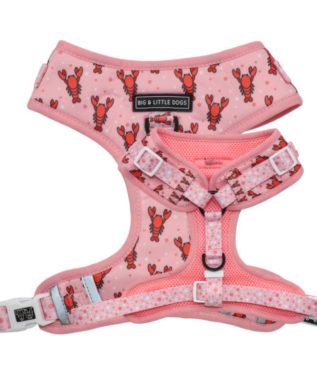 Big and Little Dogs Big and Little Dogs Adjustable Harness Aw Snap