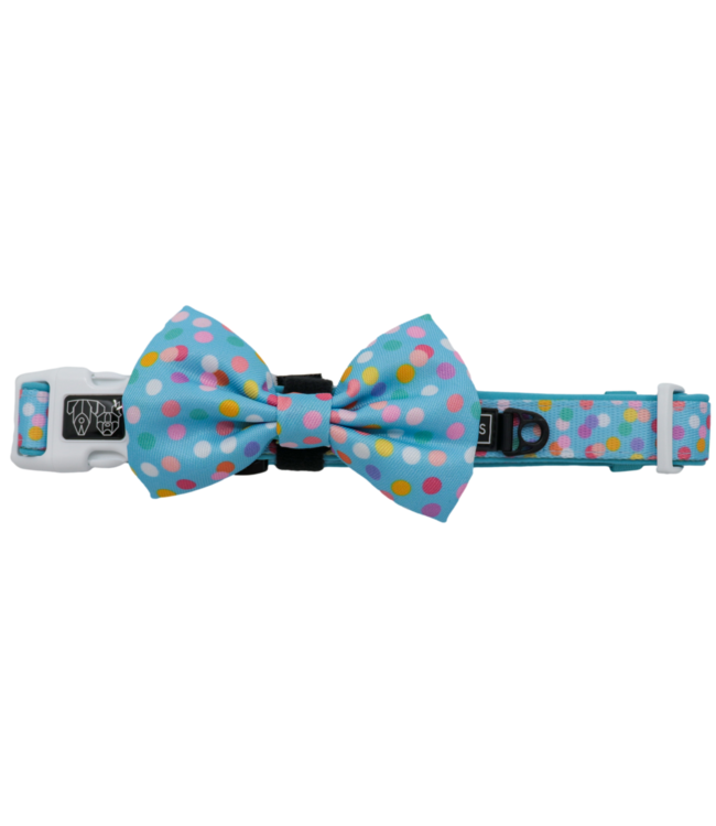 Big and Little Dogs Big and Little Dogs Collar & Bow-tie Blue Confetti
