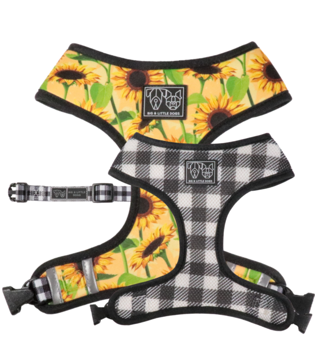 Big and Little Dogs Big and Little Dogs Reversible Harness Sunny Vibes