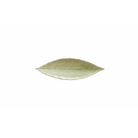 Laurierblad 18 cm Riviera Vert Frais