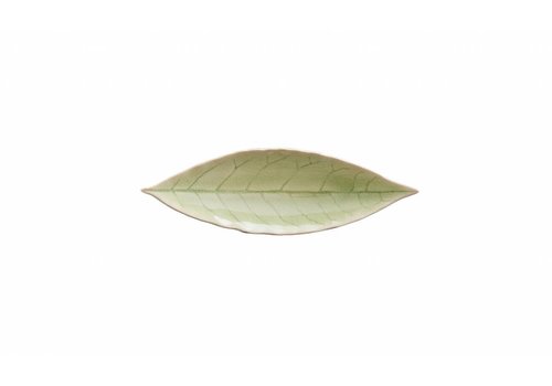  Bay Leaf 18 cm Riviera Vert Frais 