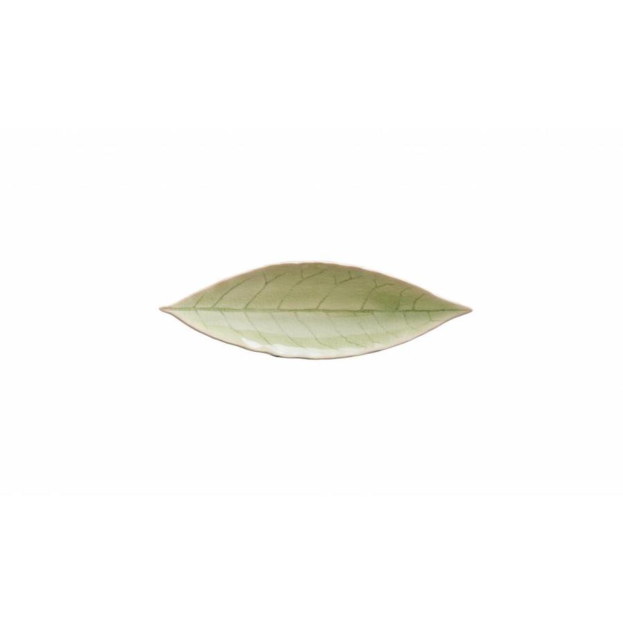 Bay Leaf 18 cm Riviera Vert Frais
