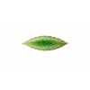 Bay Leaf 18 cm Riviera Tomate