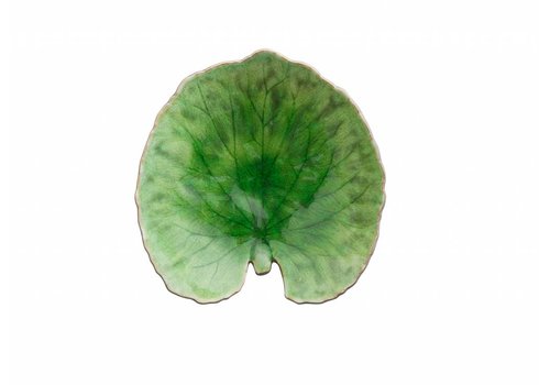  Lily Pad 17 cm Riviera Tomate 