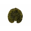 Lily Pad 17 cm Riviera Forest