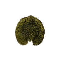 Lily Pad 17 cm Riviera Forest