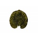 Schaaltje blad 18 cm medium riviera forets Schaaltje blad 18 cm medium riviera forets