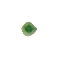 Dipschaaltje 11 cm Riviera Tomate