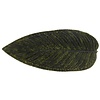 Banana Leaf 40 cm Riviera Forest