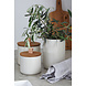 Opbergpot small 12 cm pacifica groen Opbergpot small 12 cm pacifica groen