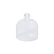 Glass dome 14 Glass dome 14