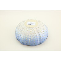 Shell Bowl 18 cm Sardines