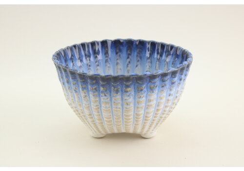  Costa Nova Shell Bowl 14 cm Sardines 