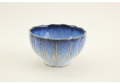 Shell Bowl 11 cm Sardines   Shell Bowl 11 cm Sardines