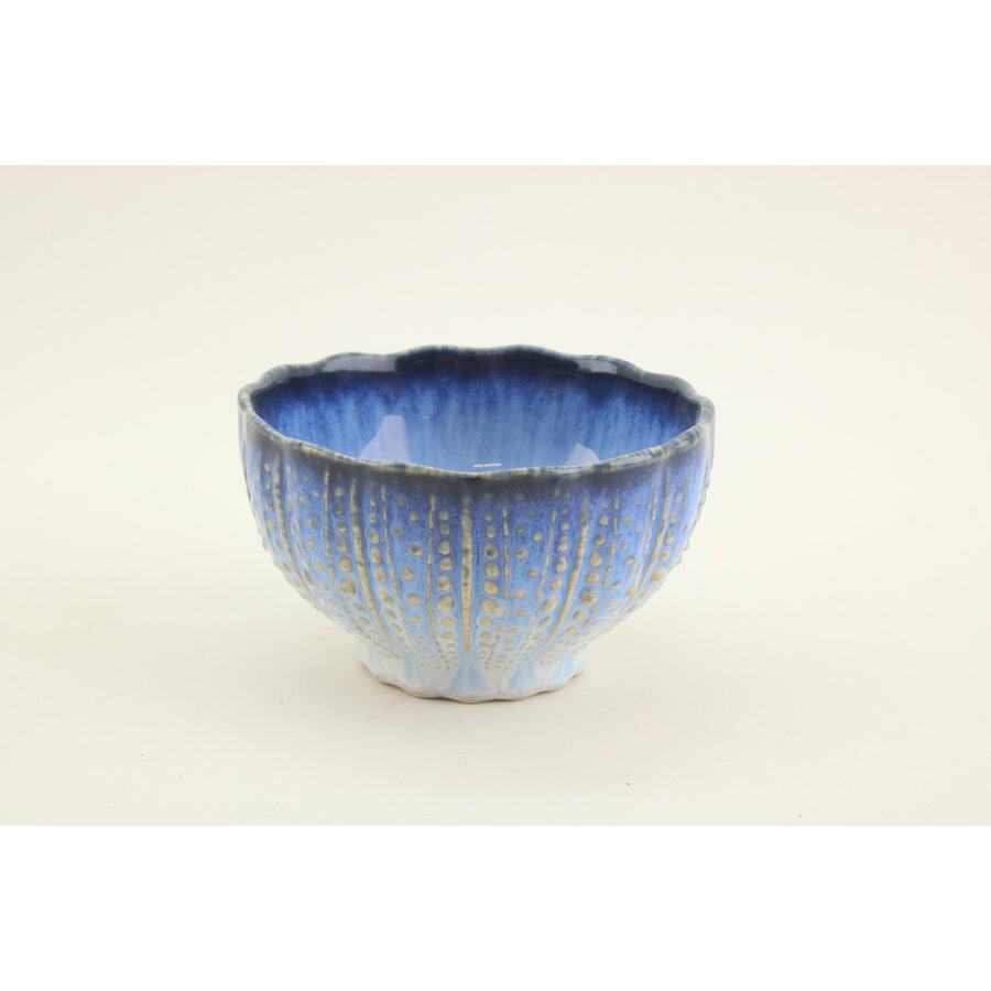 Shell Bowl 11 cm Sardines